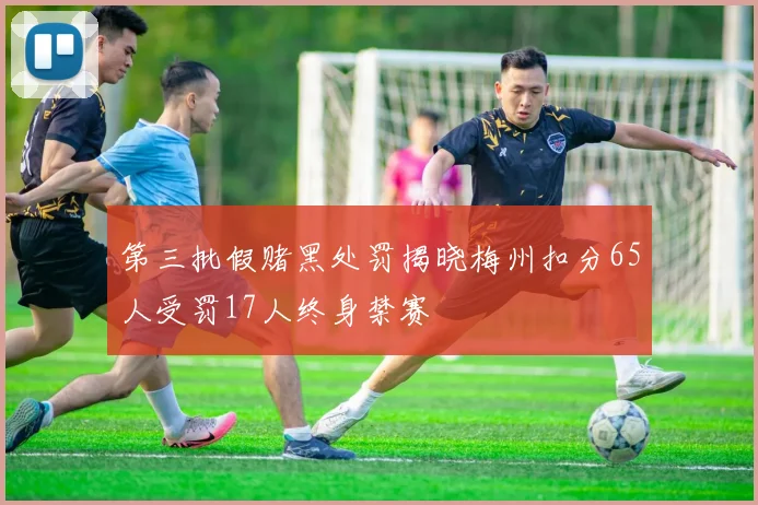 第三批假赌黑处罚揭晓梅州扣分65人受罚17人终身禁赛