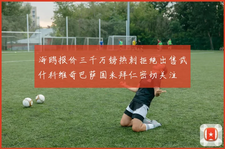 海鸥报价三千万镑热刺拒绝出售武什科维奇巴萨国米拜仁密切关注